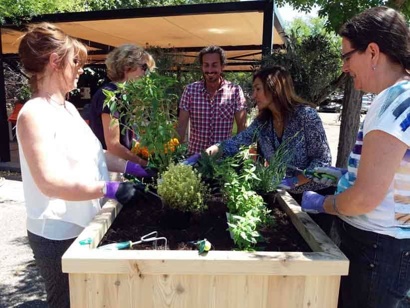 Jardin d'entreprise Trans-Massilia